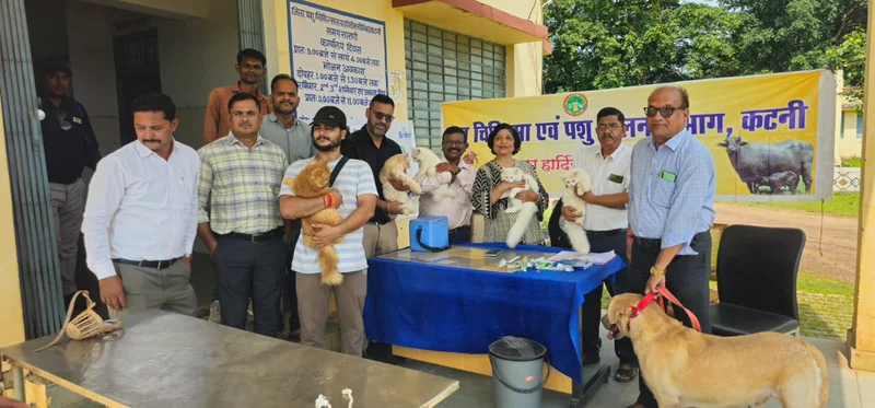 विश्व रेबीज दिवस पर 42 स्वान एवं बिल्लियों का टीकाकरण जिला पशु चिकित्सालय में आयोजित हुआ प्रतिरोधक टीकाकरण…